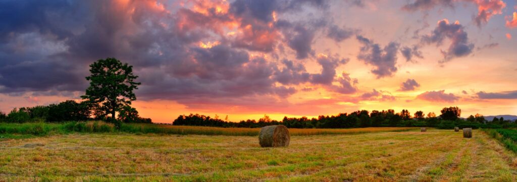 south dakota property